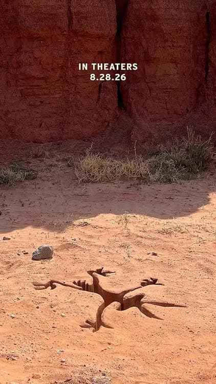 Coyote vs. Acme